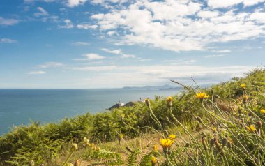 Dublin, İrlanda yakınlarındaki Howth Head yarımadasından Dublin Körfezi manzarası. Bailey Deniz Feneri orta sahada ve Bray Head arka planda..