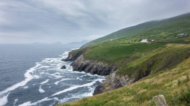 Dingle Yarımadası 'nın muhteşem kıyı şeridi, Batı County Kerry, İrlanda. Blasket Adaları uzak mesafeden görülebilir..