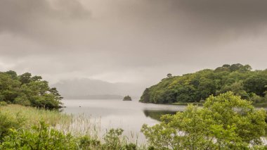 Muckross Gölü, diğer bir deyişle Torc Gri sisli bir günde Killarney Ulusal Parkı, Kerry County, İrlanda.