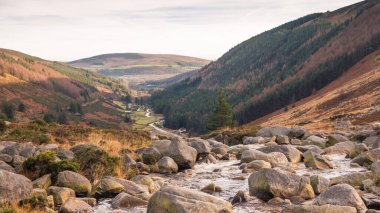 Glendasan Vadisi manzarası, Wicklow Gap, County Wicklow, İrlanda.