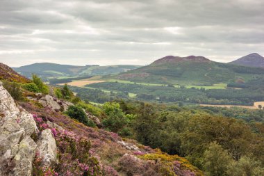 Bray Head 'in zirvesinden manzara Wicklow, İrlanda.
