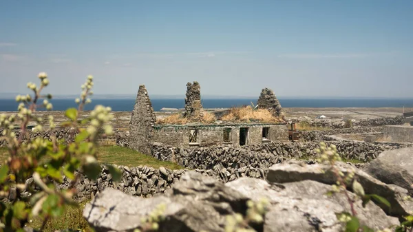 İrlanda 'nın batısındaki Galway kıyısındaki Aran Adaları' ndan biri olan Inishmaan (İnis Meain) 'deki harabe, terk edilmiş bir kulübe..