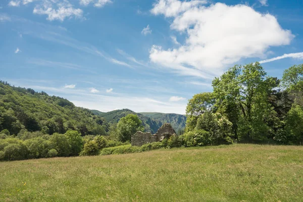 Üçlemeci Kilisesi 'nin ve Glendalough' daki ormanlık arazinin manzarası, İrlanda 'nın Wicklow kentindeki erken dönem Hıristiyan manastırı yerleşimi..
