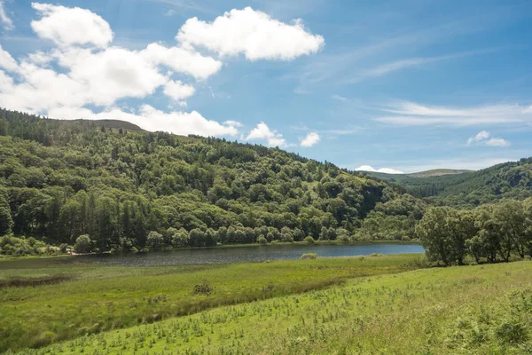 Glendalough, Co. Wicklow, İrlanda 'daki Lower Lake ve Woodland..