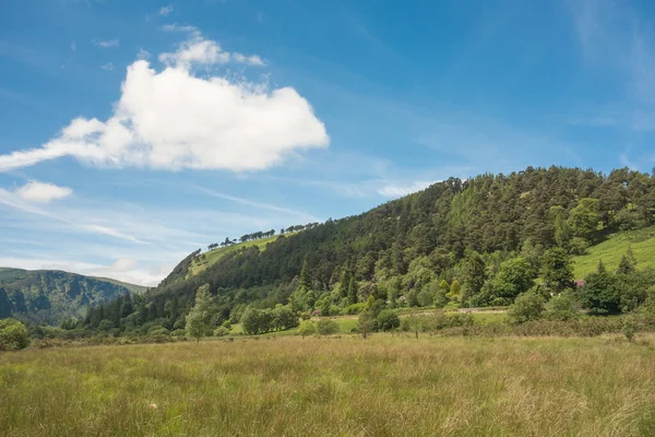 Dağ, Glendalough, Co. Wicklow, İrlanda 'da orman manzarası.