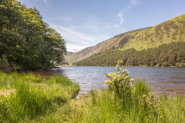 Glendalough 'daki Yukarı Göl, Co. Wicklow, İrlanda.
