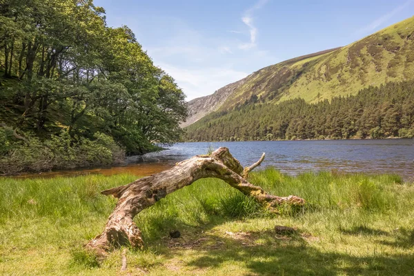 Glendalough 'daki Yukarı Göl, Co. Wicklow, İrlanda.