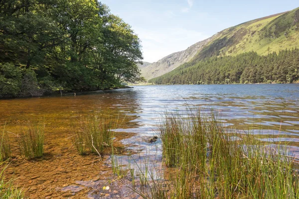 Glendalough 'daki Yukarı Göl, Co. Wicklow, İrlanda.