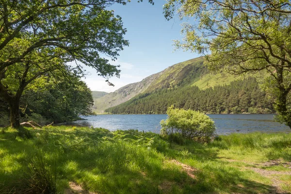 Lago Alto Glendalough Wicklow Irlanda — Foto de Stock