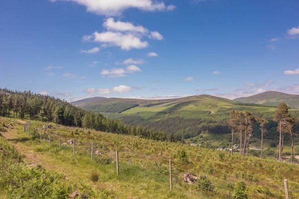 Bosque Montaña Glendalough Wicklow Irlanda — Foto de Stock