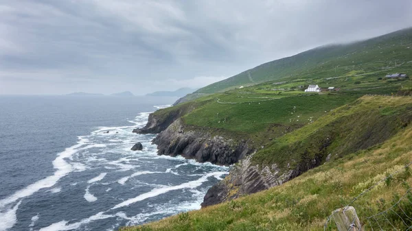 Dingle Yarımadası 'nın muhteşem kıyı şeridi, Batı County Kerry, İrlanda. Blasket Adaları uzak mesafeden görülebilir..