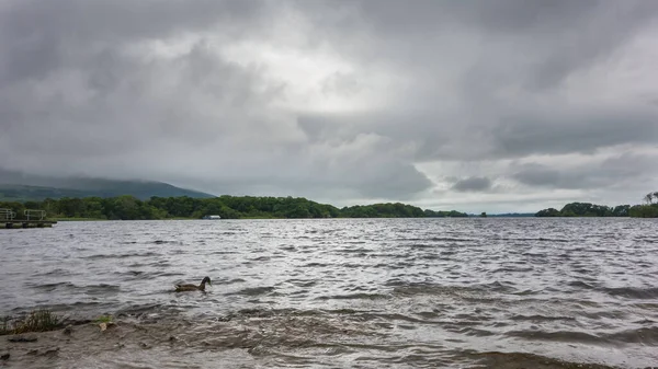 Muckross Gölü, diğer bir deyişle Torc Gri sisli bir günde Killarney Ulusal Parkı, Kerry County, İrlanda.