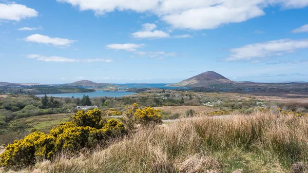 Connemara Ulusal Parkı 'ndaki Diamond Hill' den Tully Dağı ve Atlantik Okyanusu 'na doğru bakın..
