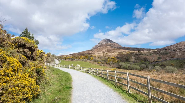 Connemara Ulusal Parkı 'ndaki Diamond Hill, Letterfrack, County Galway, İrlanda.