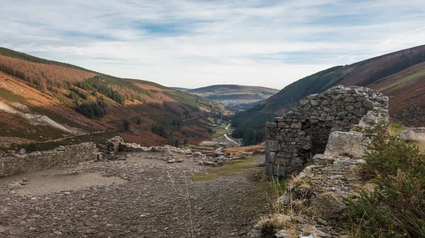 Glendasan Vadisi manzarası, Wicklow Gap, County Wicklow, İrlanda.