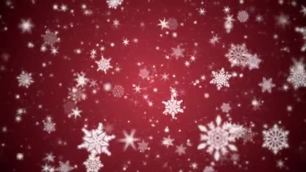 美丽的冬季雪花和颗粒运动背景 — 图库视频影像