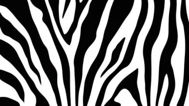 Basit bir zebra izi hareket arkaplanı. Bu siyah ve beyaz çizgili hayvan izi arka plan animasyonu tam bir HD ve kusursuz bir döngüdür..