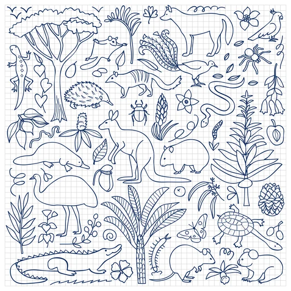 Hand drawn Australia set on squared paper Royalty Free Stock Vectors