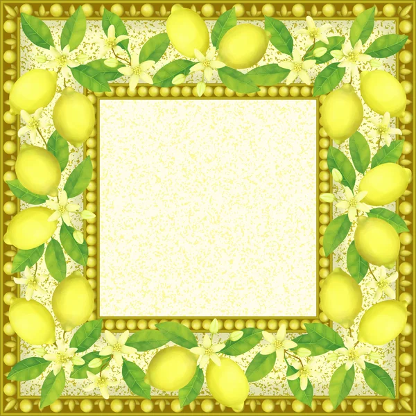 Frame with Lemons — Stock Photo, Image