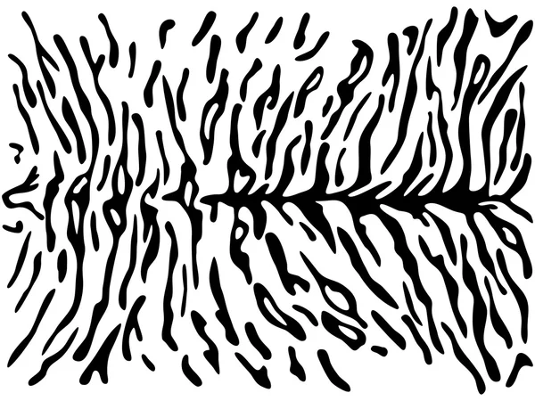 Tiras asimétricas de tigre — Archivo Imágenes Vectoriales