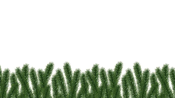 Zelený vánoční strom přírodní bezešvé hranice na bílém pozadí — Stockový vektor