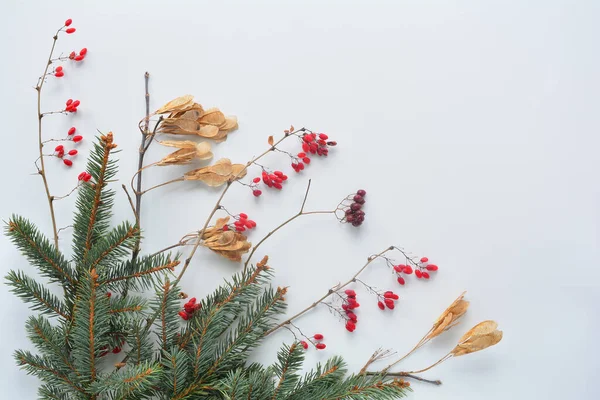 Winter en herfst achtergrond van natuurlijke materialen. Vlakke plaat. — Stockfoto