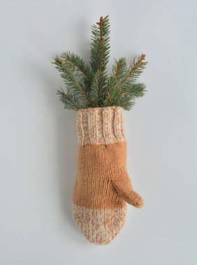 Eldiven buketi ve Noel ağacı dallarından kış ve sonbahar arkaplanı