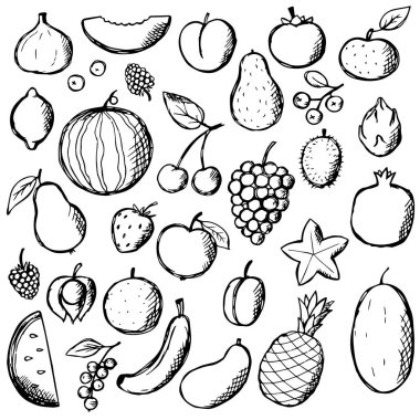 Fruits Doodle Hand çizim seti. Vektör gıda elemanları koleksiyonu