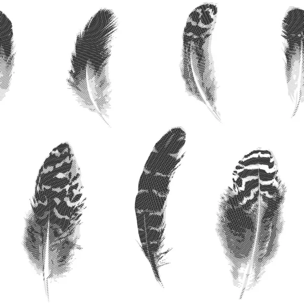 Seamless pattern of vector hatching black and white feathers — Stock Vector