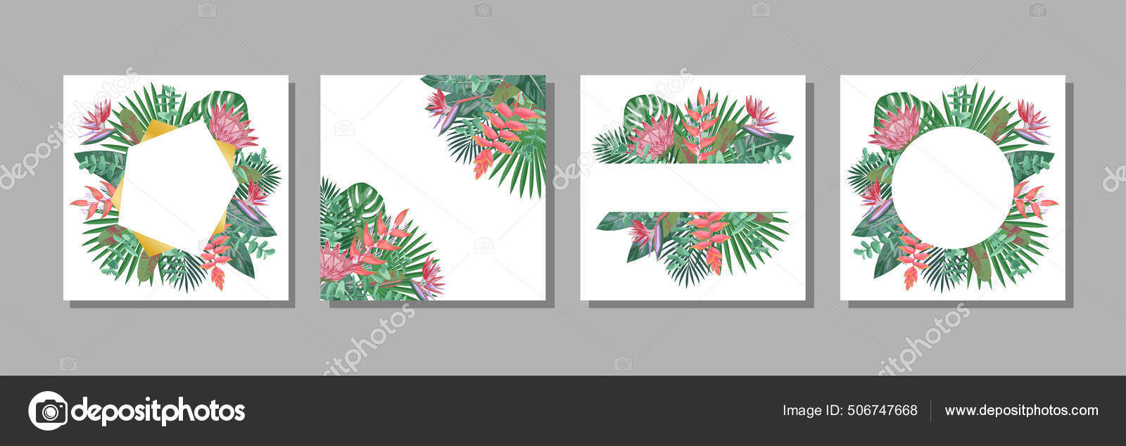 Tropical templates set for greeting cards and covers Stock Vector Image ...