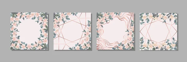 Templates conjunto com eucalipto e flores fot cartões de saudação e capas — Vetor de Stock