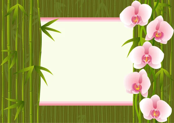 Background with orchids bamboo and text place — Stock Vector