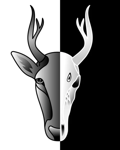 Deer - day and night — Stock Vector