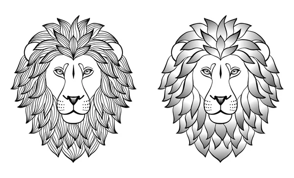 Leones — Vector de stock