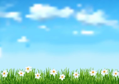 Background with grass and white flowers