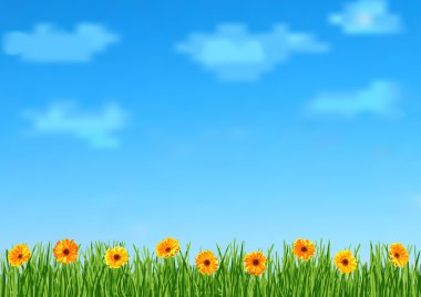 Background with grass and orange gerbera flowers