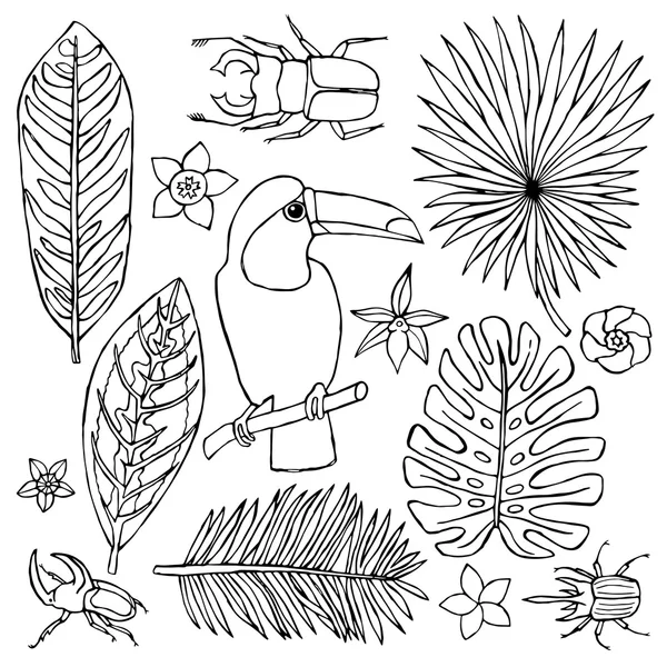Hand dras doodle med toucan och tropiska element — Stock vektor