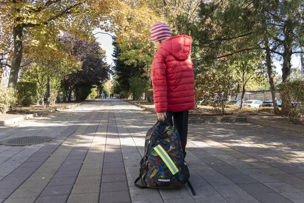 schoolboy is dragging very heavy backpack with school stuff in it on his way to school. Problem of too many school books students have to carry on.