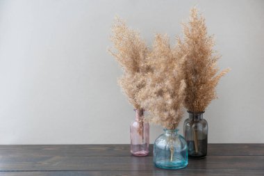 Three branches of fluffy beige pampas grass in little vases on wooden table. Copy space. Natural materials in interior. clipart