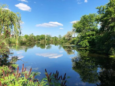 Beyaz bulutların yansımasıyla huzurlu bir yaz gölü manzarası, gölün kenarlarında yeşil ağaçlar, sessiz ve sakin bir görüntü, duvar kağıdı..