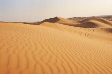 yellow wavy dunes in desert, beautiful touristic place, wallpaper, tavelling concept