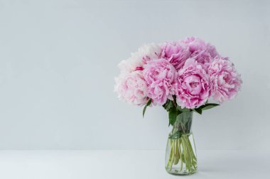 Beyaz arka planda şeffaf vazoda büyük pembe şakayık demeti. Bir sürü kopya alanı var. Selamlar konsepti. Bahar tatili için tebrikler..