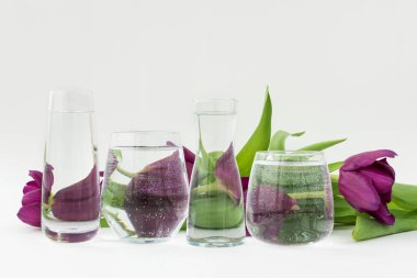 Şeffaf bardaklar ve suyla nesne bozulması. Bozulmuş mor laleler cam kapların arkasında yatıyor. Yaratıcı konsept, optik yanılsamalar.