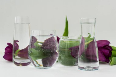 Şeffaf bardakları suyla kapatın, mor laleler beyaz arka planda yatar. Çiçeklerin su vasıtasıyla optik bozulması. Yaratıcı resimler.