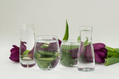 Suyla dolu şeffaf damarların görüntüsünü kapat, mor laleler beyaz arka planda, telif boşluğunda yatıyor. Çiçeklerin su yoluyla optik bozulması. Çiçek resimlerinin yaratıcı fikri