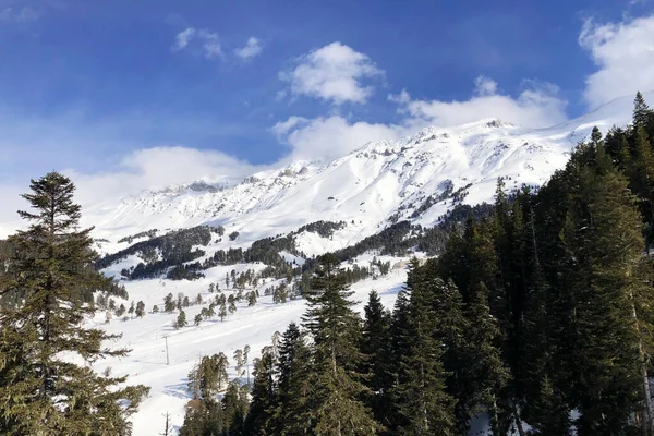 Paisaje Invernal Montañas Nevadas Bosques Pinos Cielo Azul Nubes Copiar — Foto de Stock