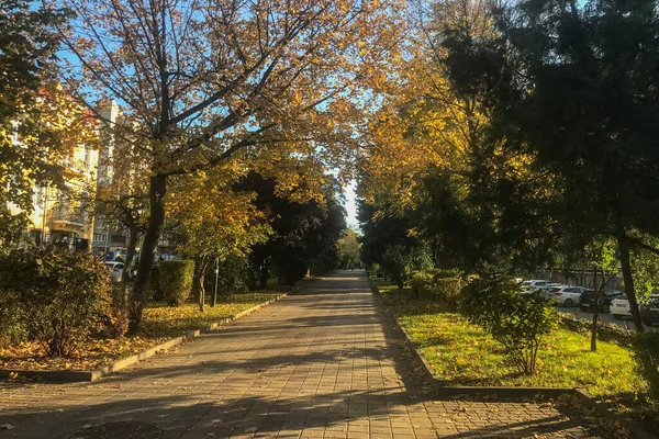 Podzimní Ulice Pro Chodce Žlutým Podzimním Listím Ideální Cesta Pro — Stock fotografie