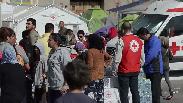 La mission internationale de la Croix-Rouge aide les réfugiés dans un camping — Video