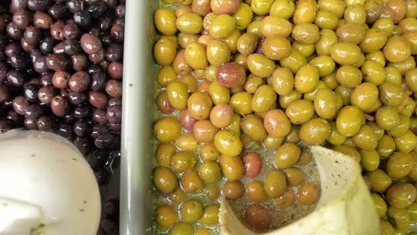Abstrakte Nahaufnahme frische Oliven auf dem Markt — Stockvideo