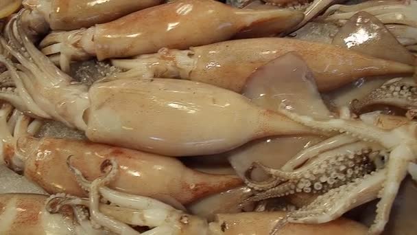 Медленное движение: Закрыть кальмаров на рыбном рынке — стоковое видео